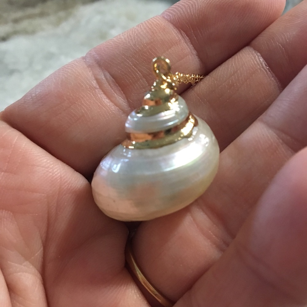 **sold** nwt shell with dipped gold